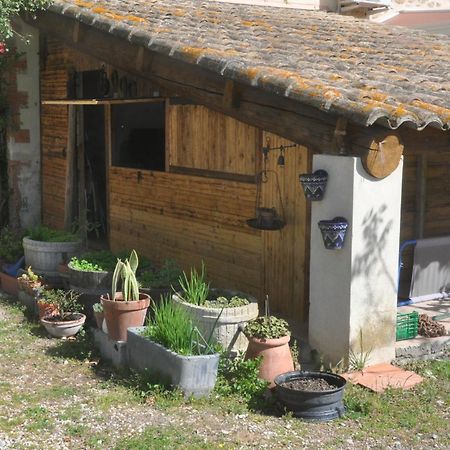 Готель La Ferme De Tonton Jules 2 Entraigues-sur-la-Sorgue Екстер'єр фото