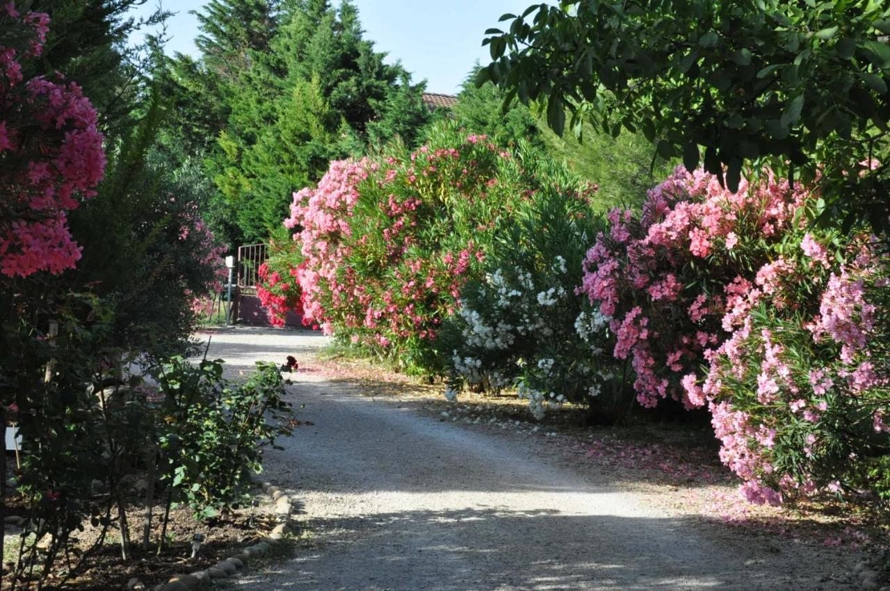 Готель La Ferme De Tonton Jules 2 Entraigues-sur-la-Sorgue Екстер'єр фото